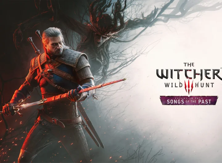 the witcher 3 songs of the past